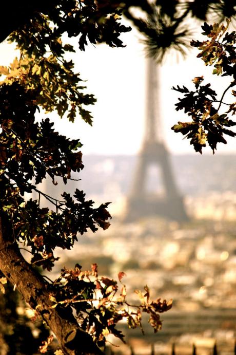 eiffel-tower-in-the-autumn-montmartre-paris-france